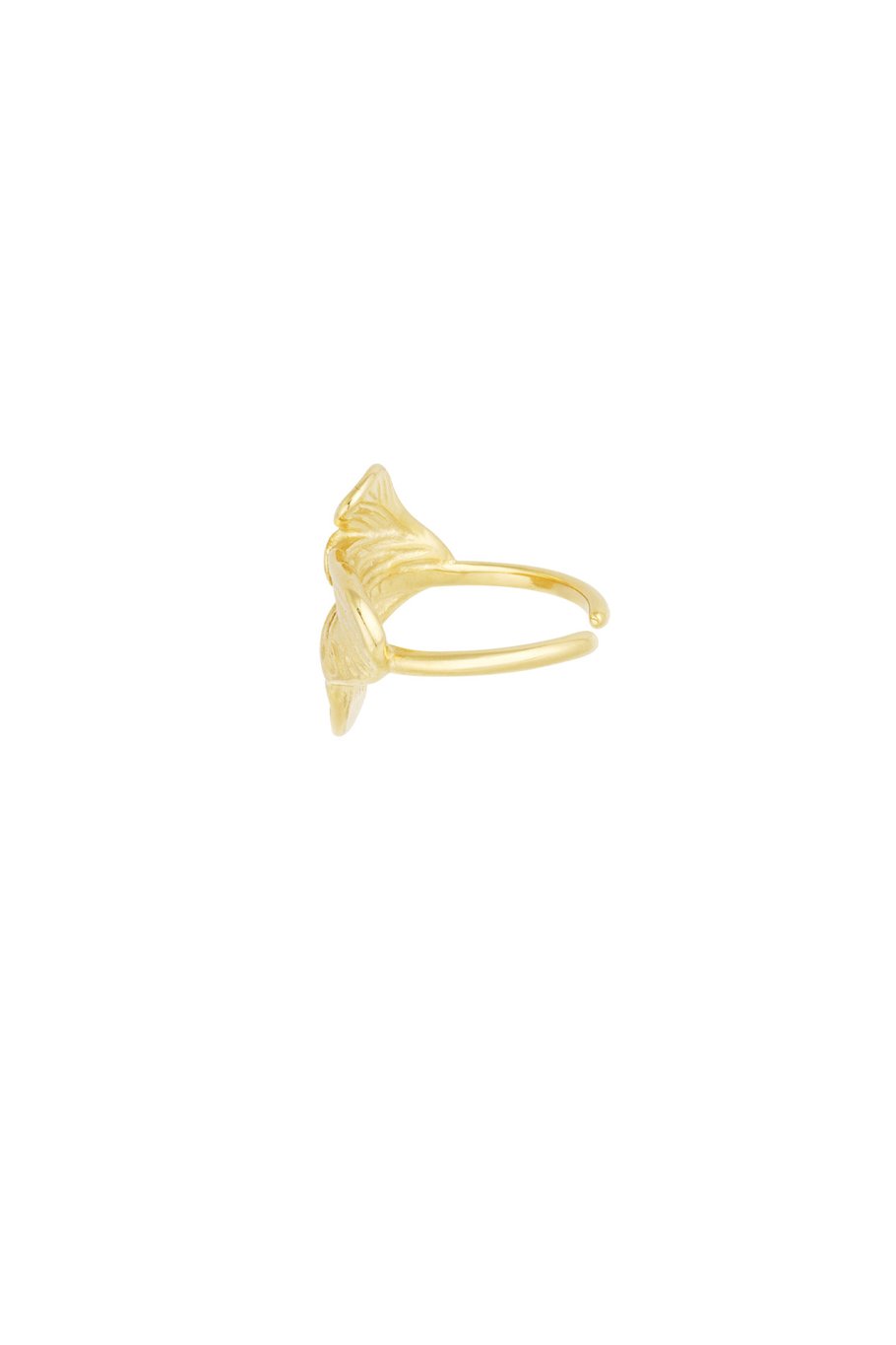 Ring flora