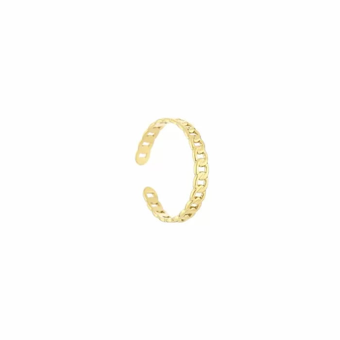 Ring schakel