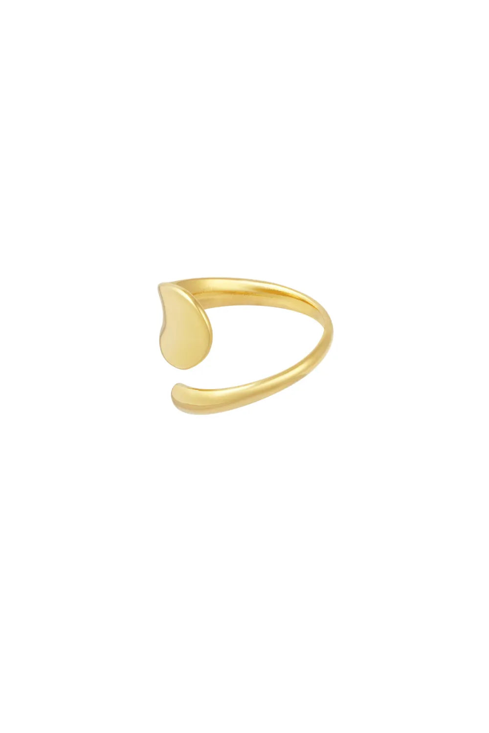 Ring sculpt