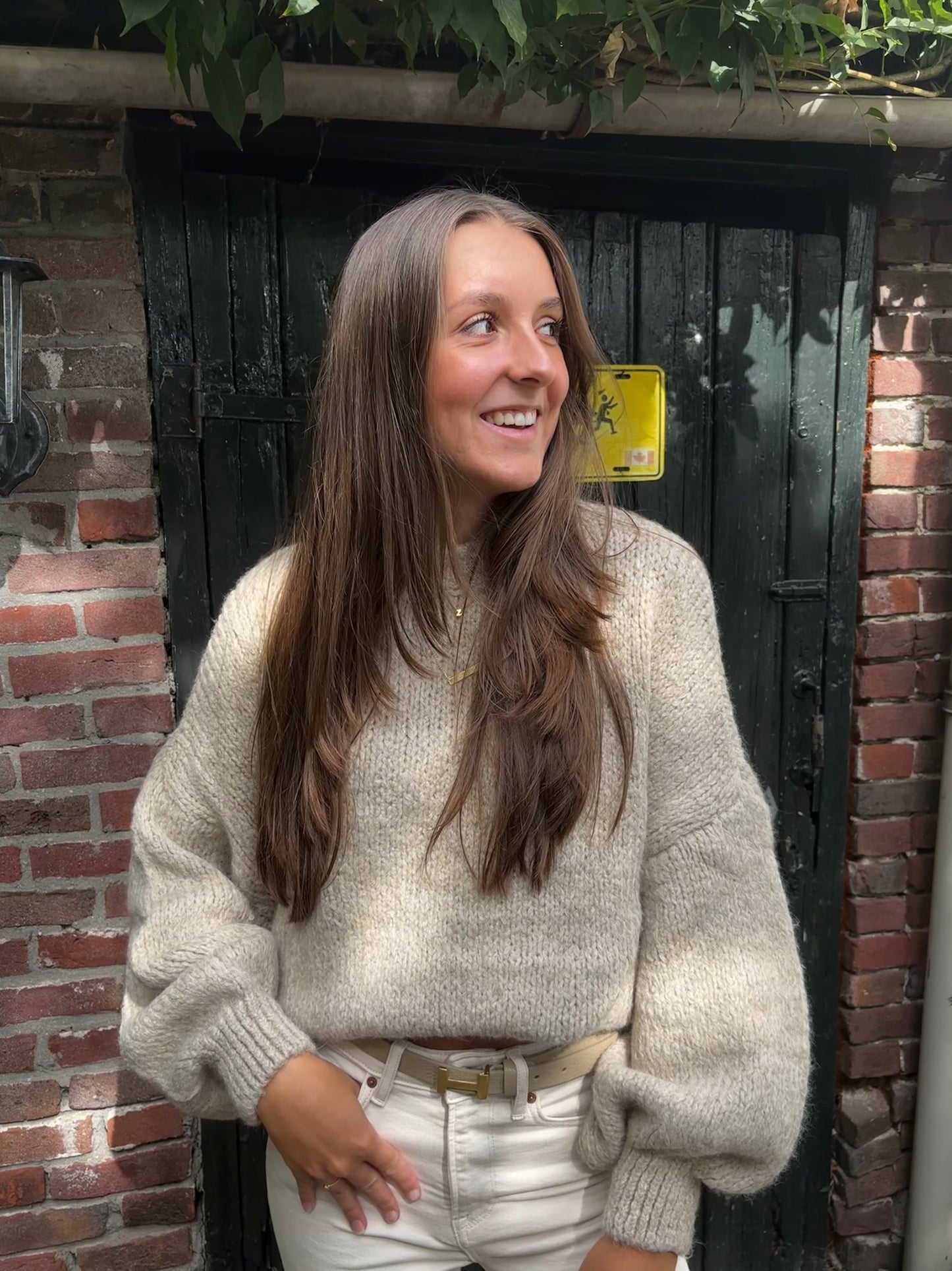 Zara comfy knit - beige